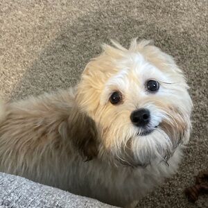 Meet your Posher, Grant